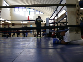 Enlarge photo 33