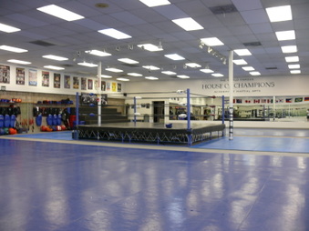 House of Champions