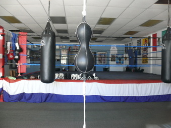 Silva Boxing