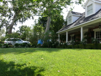 Enlarge photo 9