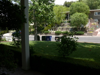 Enlarge photo 16