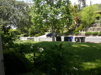 Enlarge photo 19