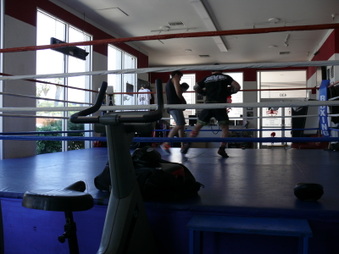Enlarge photo 10