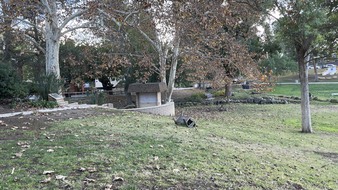 Enlarge photo 12