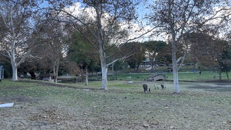 Enlarge photo 17
