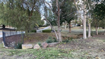 Enlarge photo 25