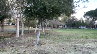 Enlarge photo 27
