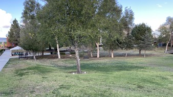 Enlarge photo 28