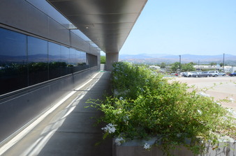 Enlarge photo 24