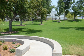 Enlarge photo 174