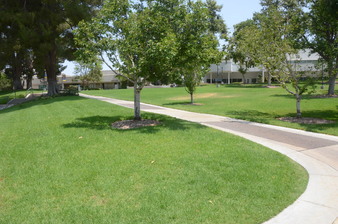 Enlarge photo 179