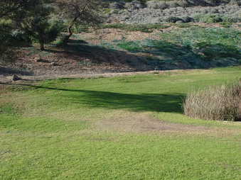 Pepperdine University