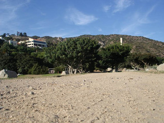 Enlarge photo 12