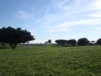 Enlarge photo 33