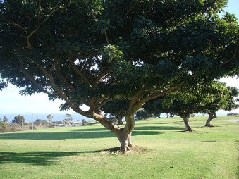 Enlarge photo 36