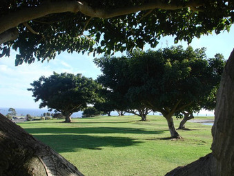 Enlarge photo 37