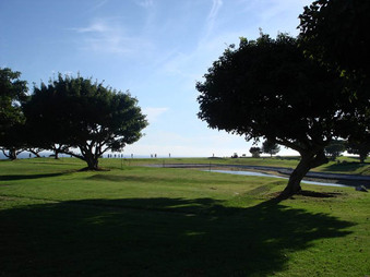 Enlarge photo 38