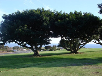 Enlarge photo 41