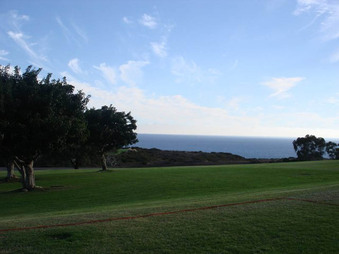 Enlarge photo 49