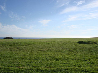 Enlarge photo 52