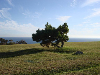 Enlarge photo 65
