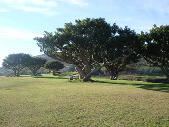 Enlarge photo 66