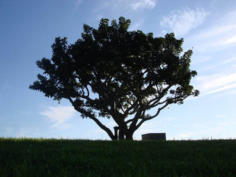 Enlarge photo 73