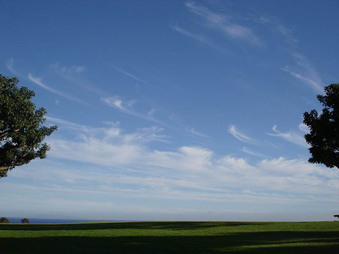 Enlarge photo 75