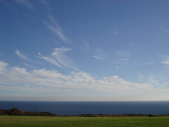 Enlarge photo 76