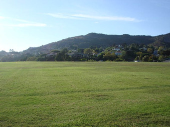 Enlarge photo 80