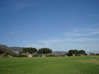 Enlarge photo 88
