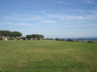 Enlarge photo 91