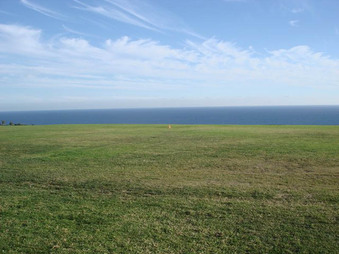 Enlarge photo 93