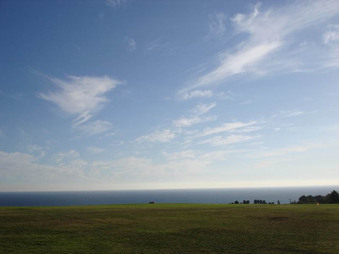 Enlarge photo 97