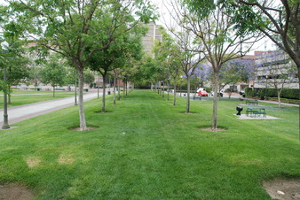 Enlarge photo 26