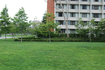 Enlarge photo 34