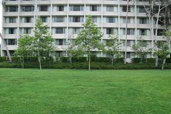 Enlarge photo 35