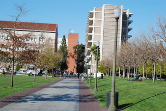 Enlarge photo 51