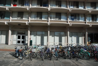 Enlarge photo 54