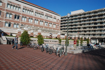 Enlarge photo 59