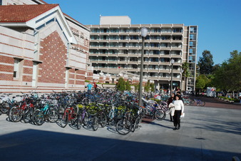 Enlarge photo 61