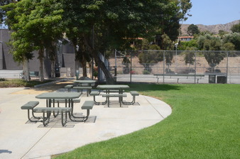 Enlarge photo 51