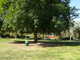 Enlarge photo 3