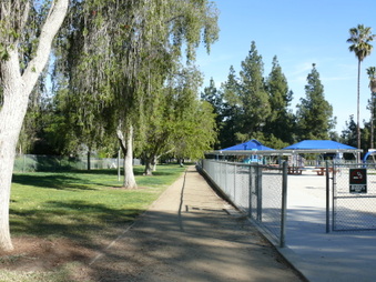 Enlarge photo 7