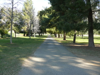 Enlarge photo 38