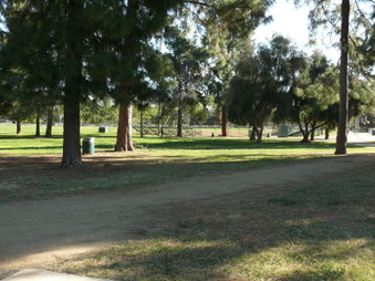 Enlarge photo 37