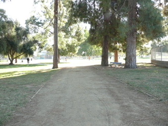 Enlarge photo 39