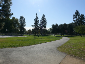 Enlarge photo 41