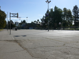Enlarge photo 43