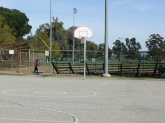 Enlarge photo 51